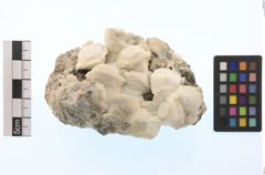 Foto von Calcit (NHMW-MIN-Ab23)
